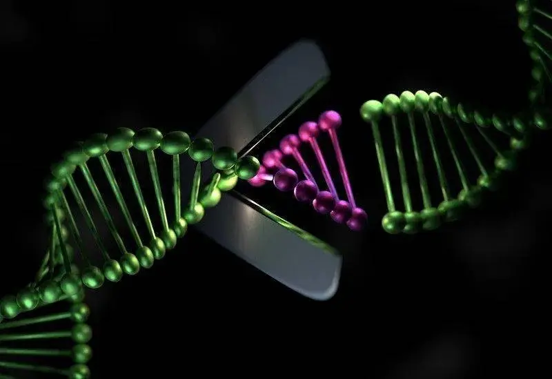 CRISPR Teknolojisi: Genetik Mucizeye Doğru